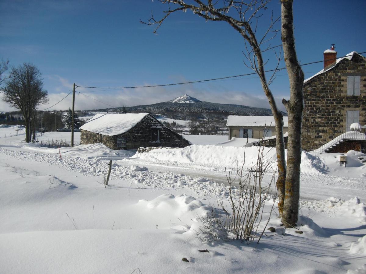 La Ferme De Madelonnet Bed & Breakfast Saint-Jeures Bagian luar foto